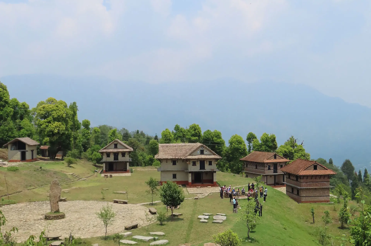 banner-image
